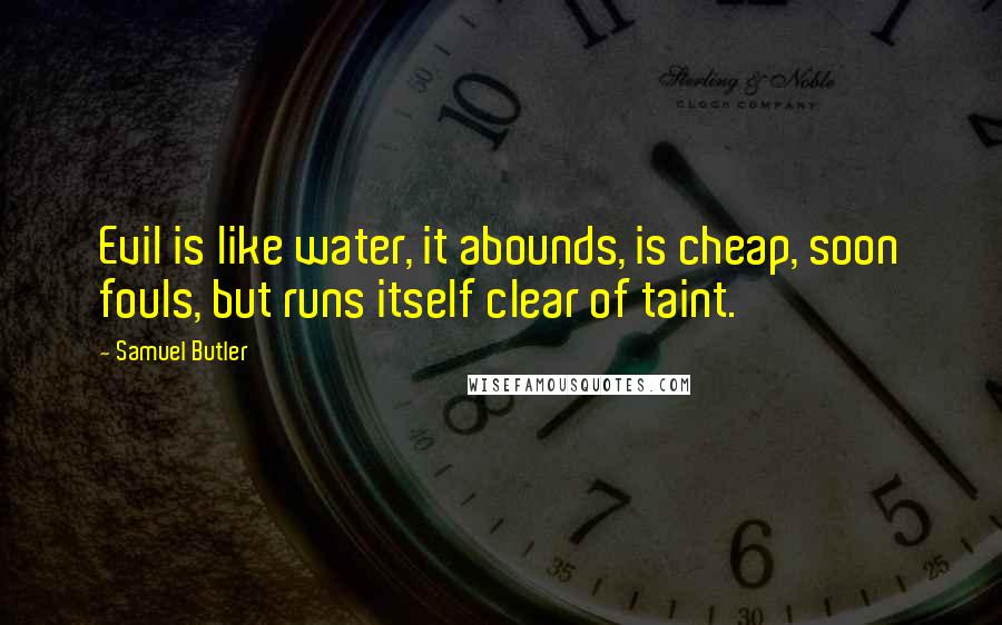 Samuel Butler Quotes: Evil is like water, it abounds, is cheap, soon fouls, but runs itself clear of taint.