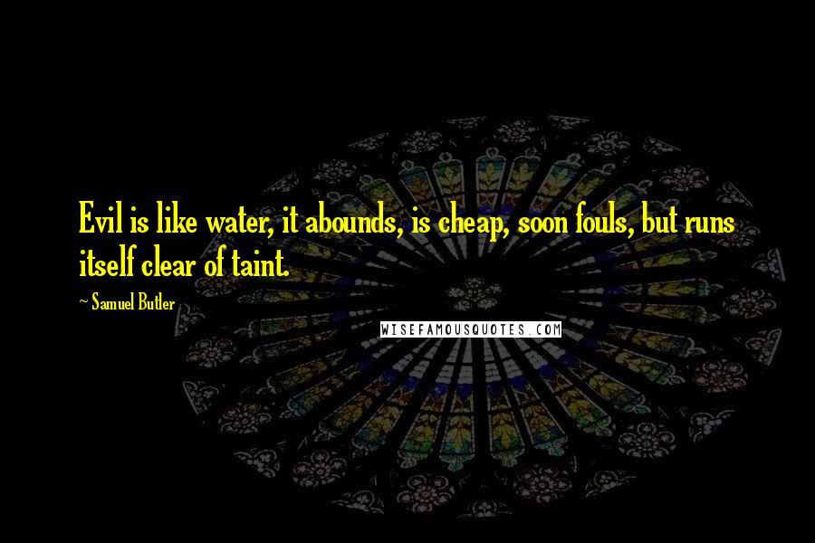 Samuel Butler Quotes: Evil is like water, it abounds, is cheap, soon fouls, but runs itself clear of taint.