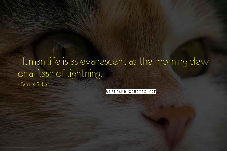 Samuel Butler Quotes: Human life is as evanescent as the morning dew or a flash of lightning.