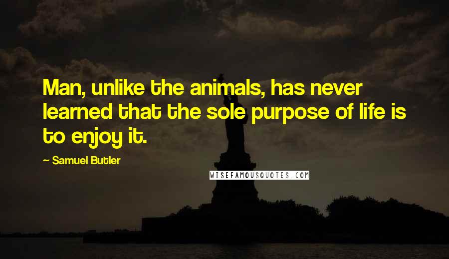 Samuel Butler Quotes: Man, unlike the animals, has never learned that the sole purpose of life is to enjoy it.