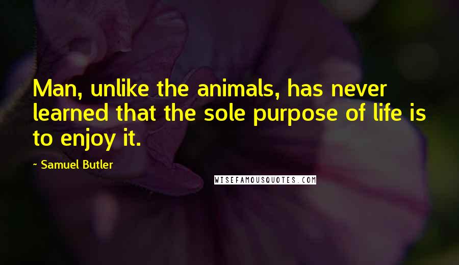 Samuel Butler Quotes: Man, unlike the animals, has never learned that the sole purpose of life is to enjoy it.