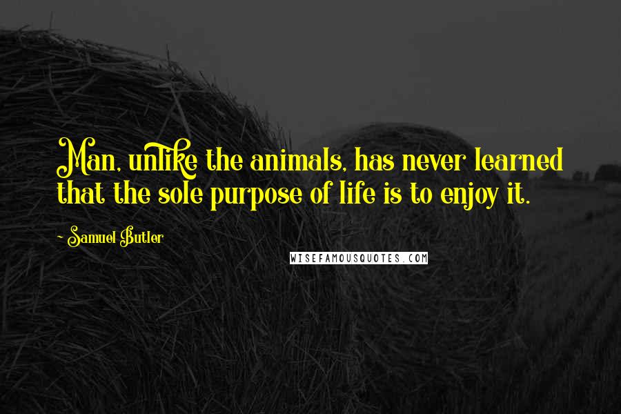 Samuel Butler Quotes: Man, unlike the animals, has never learned that the sole purpose of life is to enjoy it.