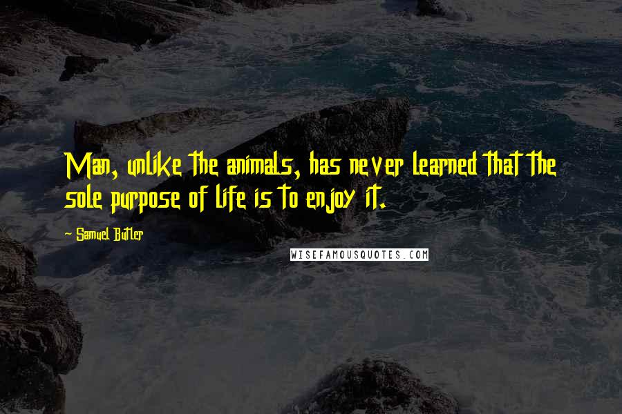Samuel Butler Quotes: Man, unlike the animals, has never learned that the sole purpose of life is to enjoy it.