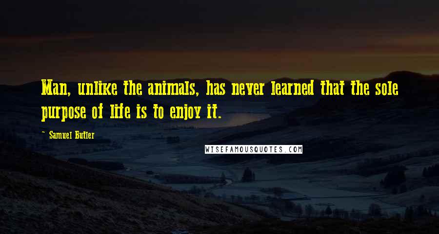 Samuel Butler Quotes: Man, unlike the animals, has never learned that the sole purpose of life is to enjoy it.