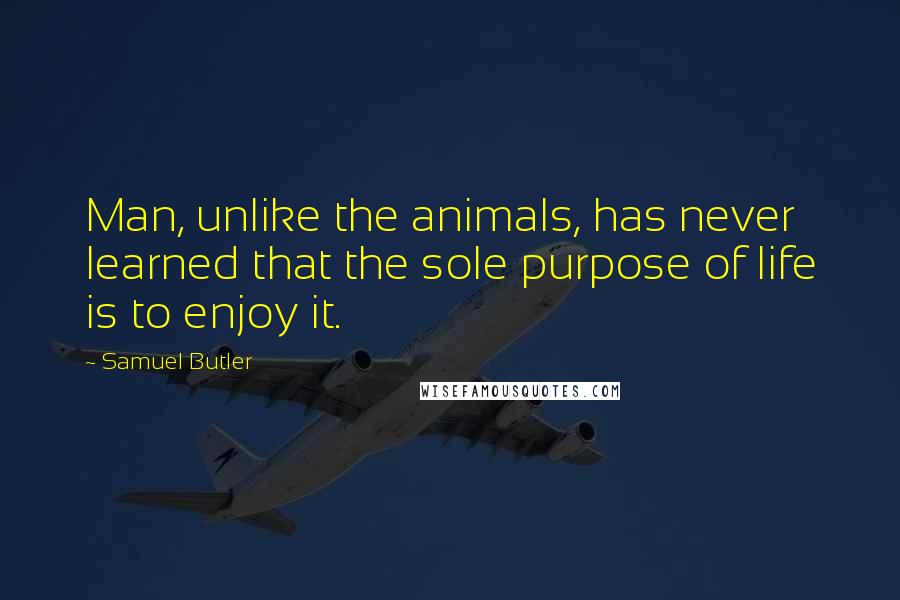 Samuel Butler Quotes: Man, unlike the animals, has never learned that the sole purpose of life is to enjoy it.