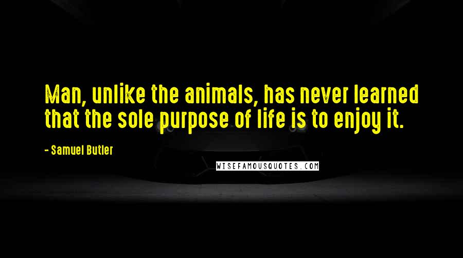 Samuel Butler Quotes: Man, unlike the animals, has never learned that the sole purpose of life is to enjoy it.