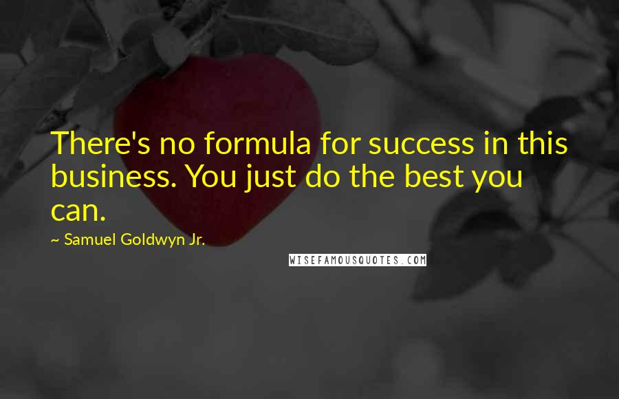 Samuel Goldwyn Jr. Quotes: There's no formula for success in this business. You just do the best you can.