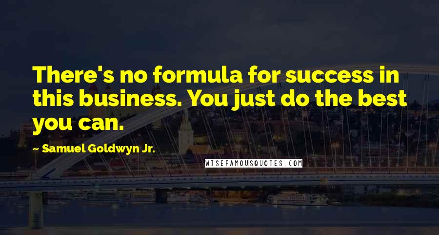 Samuel Goldwyn Jr. Quotes: There's no formula for success in this business. You just do the best you can.