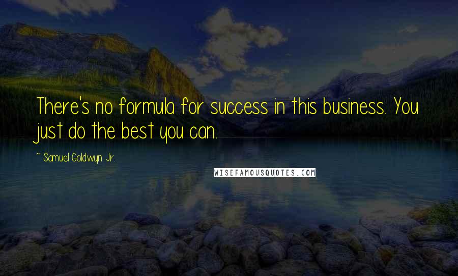 Samuel Goldwyn Jr. Quotes: There's no formula for success in this business. You just do the best you can.