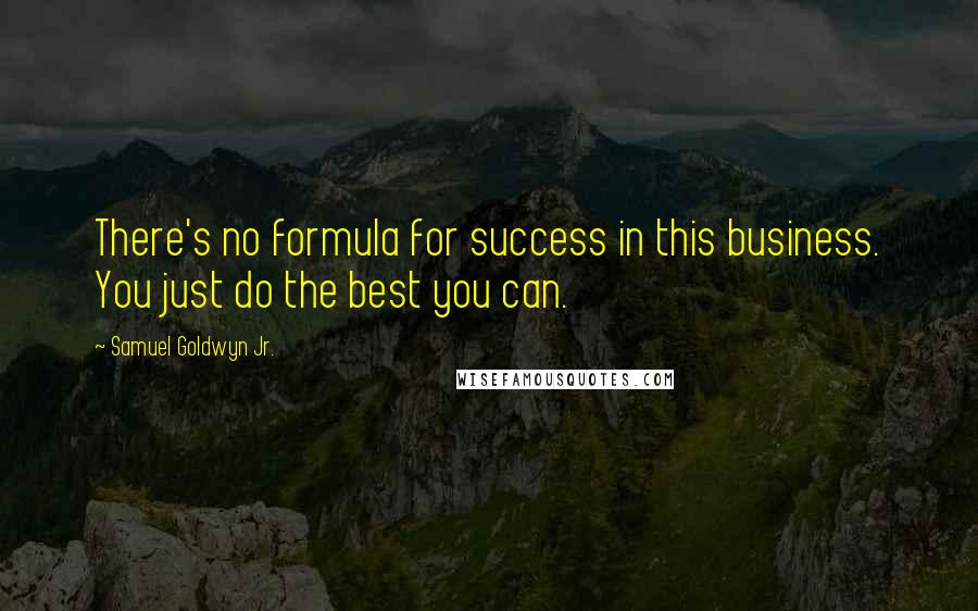 Samuel Goldwyn Jr. Quotes: There's no formula for success in this business. You just do the best you can.