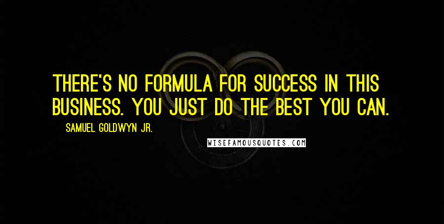 Samuel Goldwyn Jr. Quotes: There's no formula for success in this business. You just do the best you can.