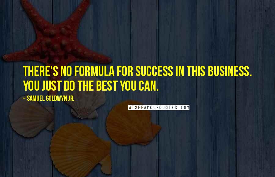 Samuel Goldwyn Jr. Quotes: There's no formula for success in this business. You just do the best you can.