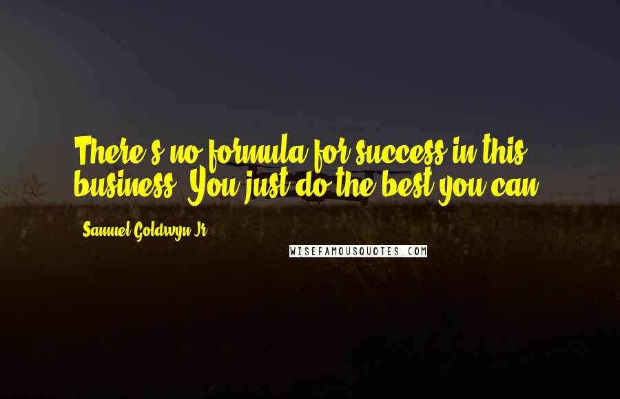 Samuel Goldwyn Jr. Quotes: There's no formula for success in this business. You just do the best you can.