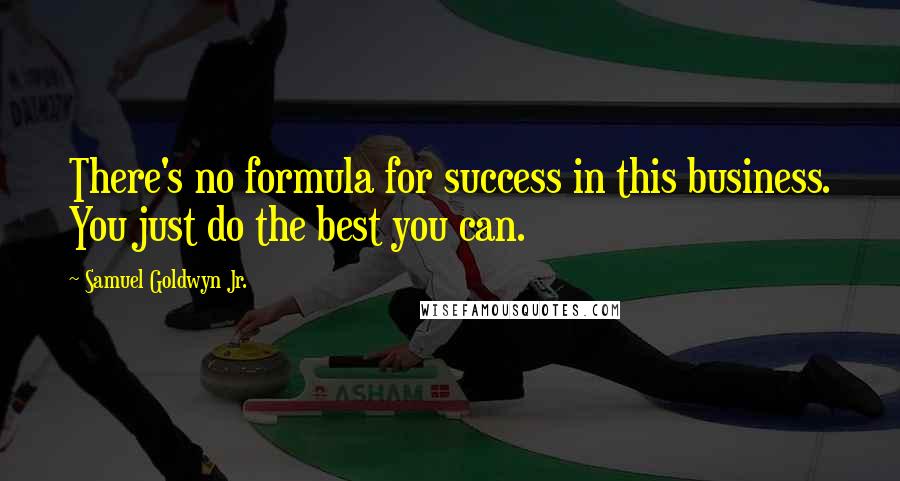 Samuel Goldwyn Jr. Quotes: There's no formula for success in this business. You just do the best you can.