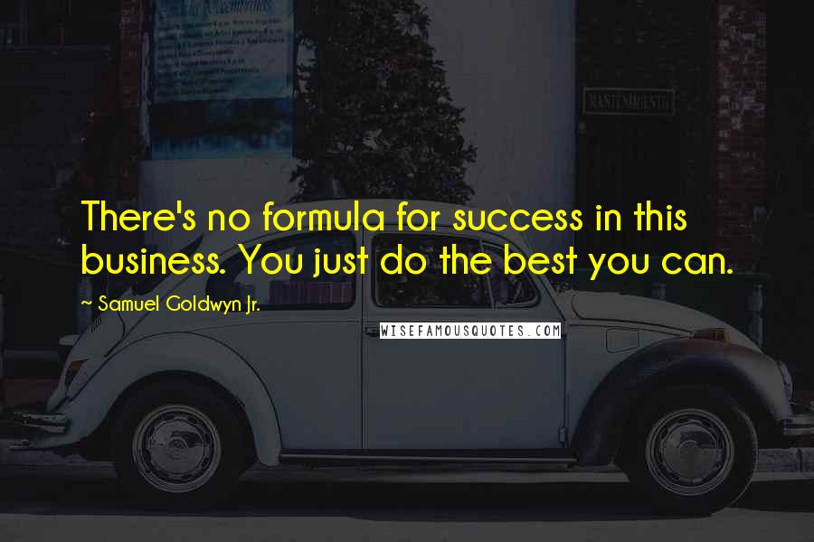 Samuel Goldwyn Jr. Quotes: There's no formula for success in this business. You just do the best you can.