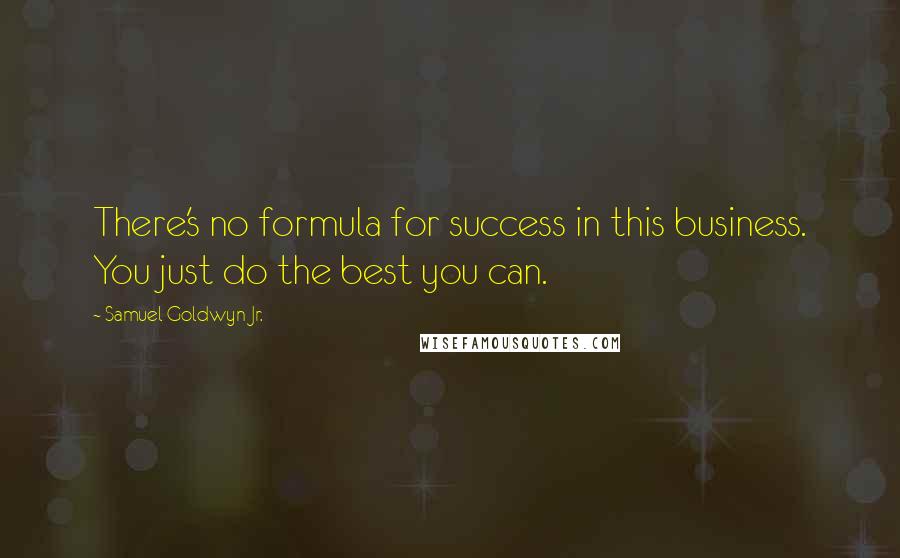 Samuel Goldwyn Jr. Quotes: There's no formula for success in this business. You just do the best you can.