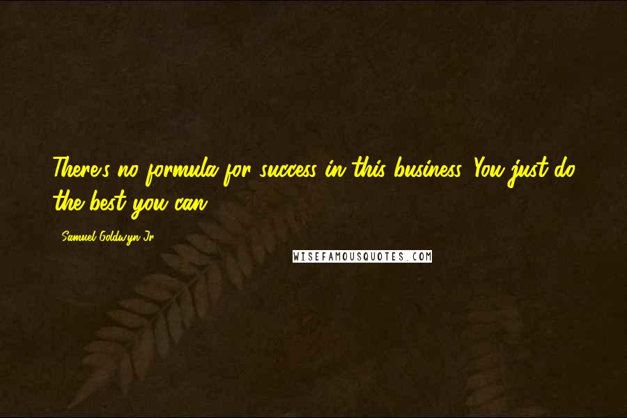 Samuel Goldwyn Jr. Quotes: There's no formula for success in this business. You just do the best you can.