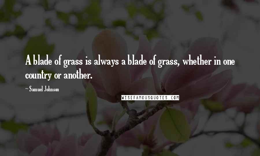 Samuel Johnson Quotes: A blade of grass is always a blade of grass, whether in one country or another.