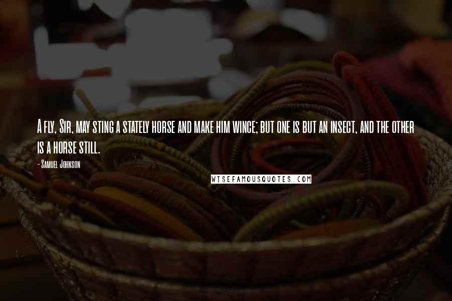 Samuel Johnson Quotes: A fly, Sir, may sting a stately horse and make him wince; but one is but an insect, and the other is a horse still.