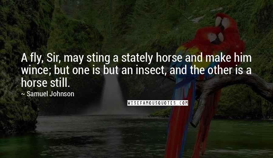 Samuel Johnson Quotes: A fly, Sir, may sting a stately horse and make him wince; but one is but an insect, and the other is a horse still.