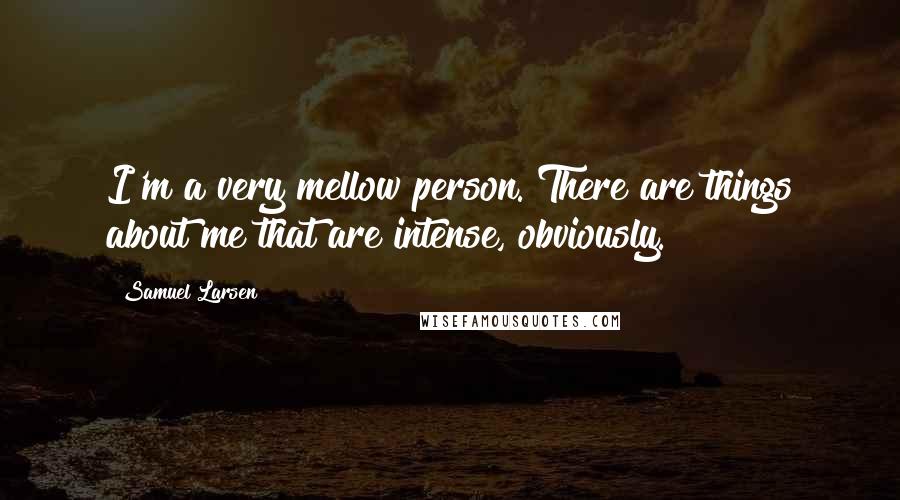Samuel Larsen Quotes: I'm a very mellow person. There are things about me that are intense, obviously.