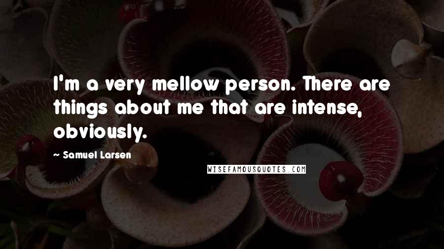 Samuel Larsen Quotes: I'm a very mellow person. There are things about me that are intense, obviously.