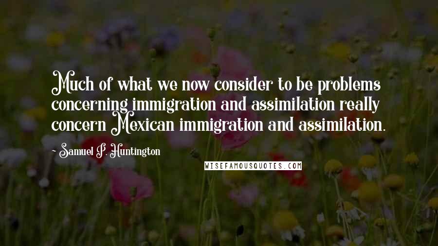 Samuel P. Huntington Quotes: Much of what we now consider to be problems concerning immigration and assimilation really concern Mexican immigration and assimilation.