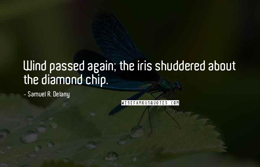 Samuel R. Delany Quotes: Wind passed again; the iris shuddered about the diamond chip.