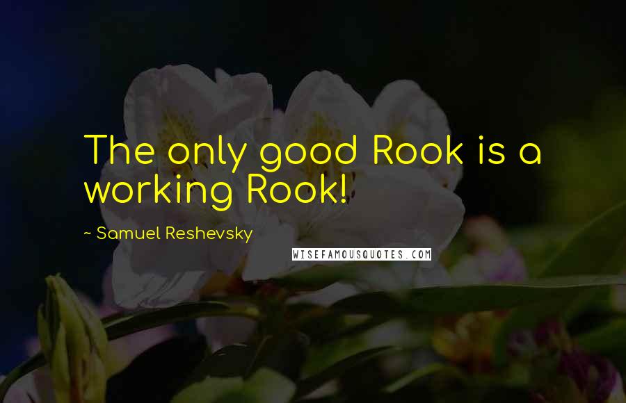 Samuel Reshevsky Quotes: The only good Rook is a working Rook!