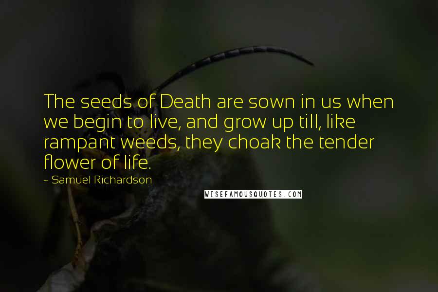 Samuel Richardson Quotes: The seeds of Death are sown in us when we begin to live, and grow up till, like rampant weeds, they choak the tender flower of life.