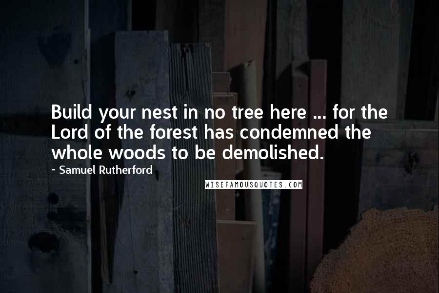 Samuel Rutherford Quotes: Build your nest in no tree here ... for the Lord of the forest has condemned the whole woods to be demolished.