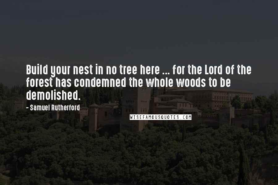 Samuel Rutherford Quotes: Build your nest in no tree here ... for the Lord of the forest has condemned the whole woods to be demolished.