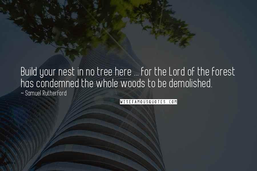 Samuel Rutherford Quotes: Build your nest in no tree here ... for the Lord of the forest has condemned the whole woods to be demolished.