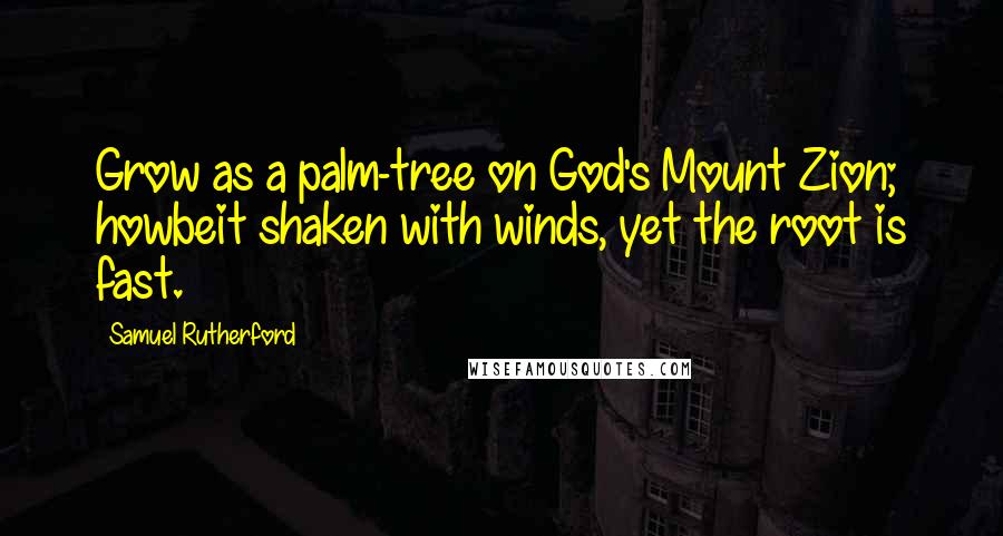 Samuel Rutherford Quotes: Grow as a palm-tree on God's Mount Zion; howbeit shaken with winds, yet the root is fast.