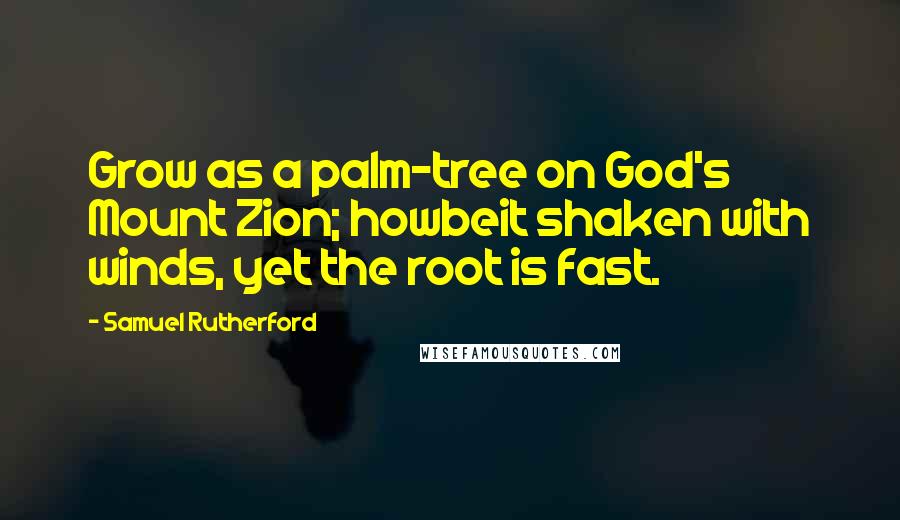 Samuel Rutherford Quotes: Grow as a palm-tree on God's Mount Zion; howbeit shaken with winds, yet the root is fast.