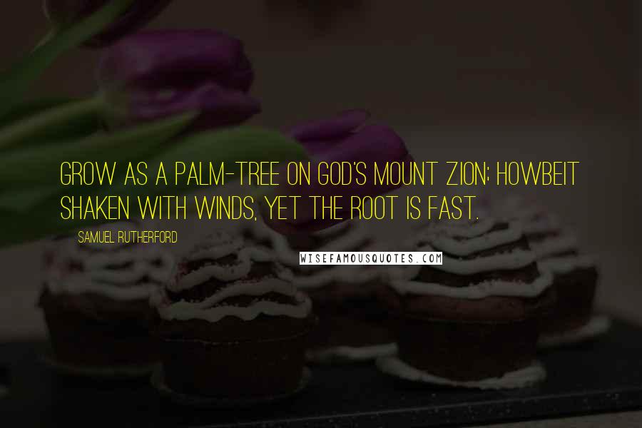 Samuel Rutherford Quotes: Grow as a palm-tree on God's Mount Zion; howbeit shaken with winds, yet the root is fast.