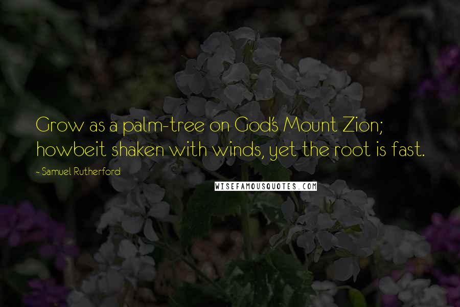Samuel Rutherford Quotes: Grow as a palm-tree on God's Mount Zion; howbeit shaken with winds, yet the root is fast.
