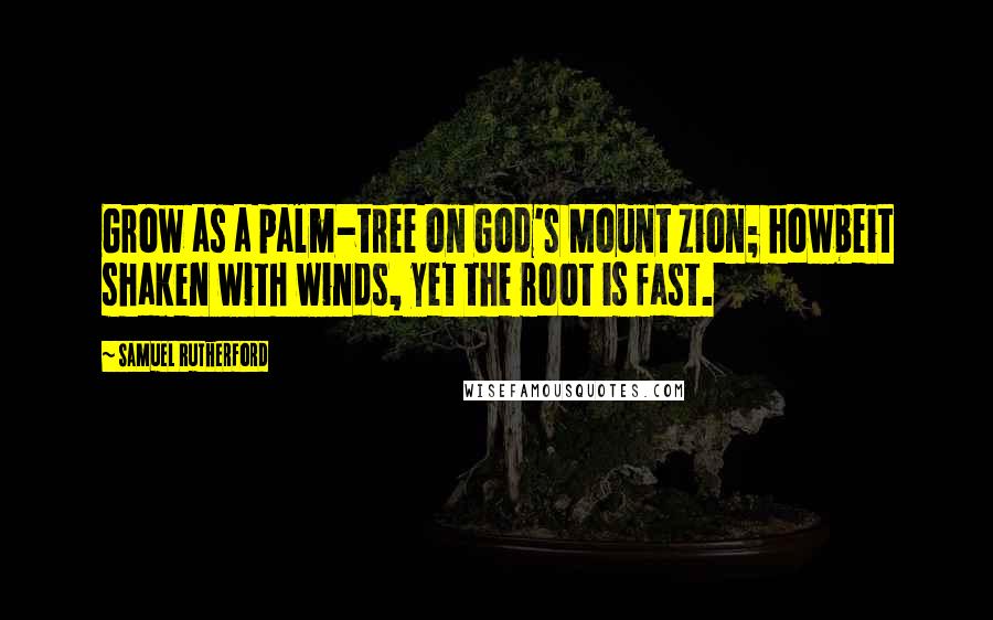 Samuel Rutherford Quotes: Grow as a palm-tree on God's Mount Zion; howbeit shaken with winds, yet the root is fast.