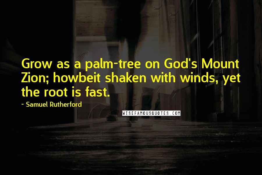 Samuel Rutherford Quotes: Grow as a palm-tree on God's Mount Zion; howbeit shaken with winds, yet the root is fast.