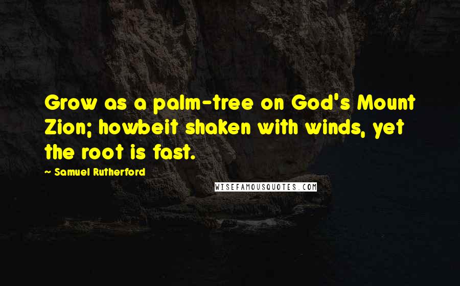 Samuel Rutherford Quotes: Grow as a palm-tree on God's Mount Zion; howbeit shaken with winds, yet the root is fast.