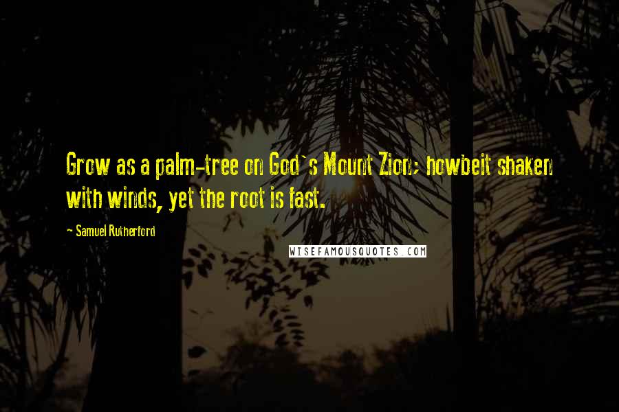 Samuel Rutherford Quotes: Grow as a palm-tree on God's Mount Zion; howbeit shaken with winds, yet the root is fast.
