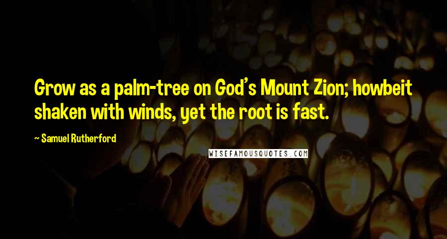 Samuel Rutherford Quotes: Grow as a palm-tree on God's Mount Zion; howbeit shaken with winds, yet the root is fast.