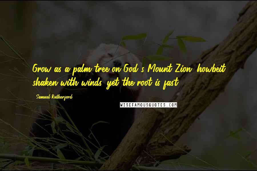 Samuel Rutherford Quotes: Grow as a palm-tree on God's Mount Zion; howbeit shaken with winds, yet the root is fast.