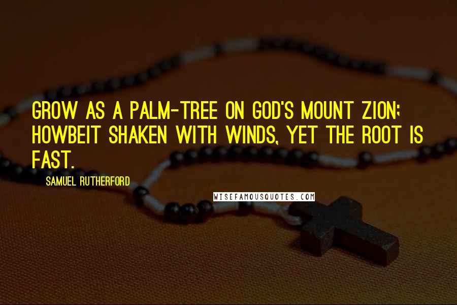 Samuel Rutherford Quotes: Grow as a palm-tree on God's Mount Zion; howbeit shaken with winds, yet the root is fast.