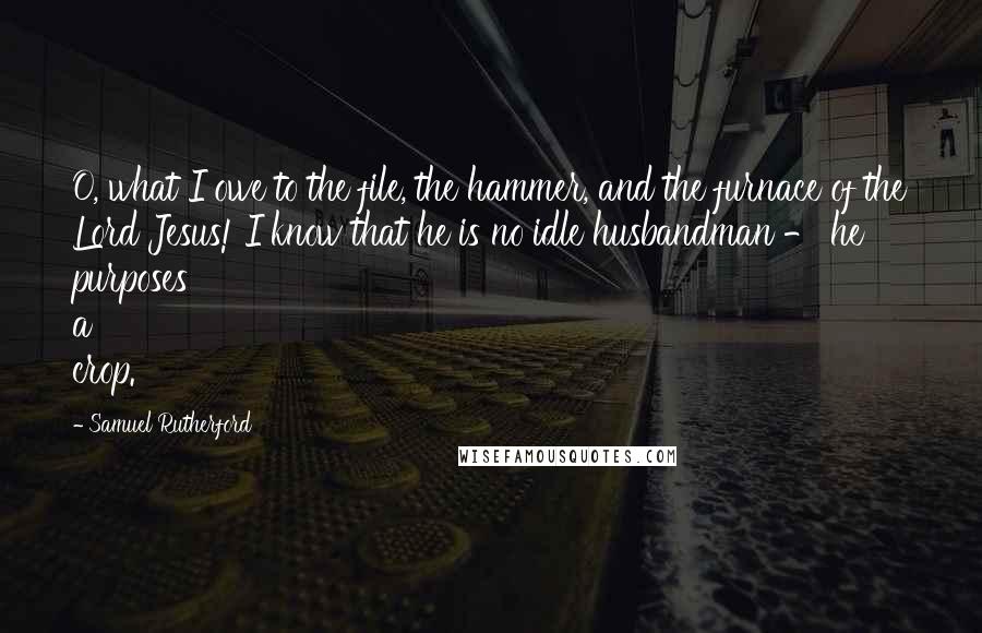 Samuel Rutherford Quotes: O, what I owe to the file, the hammer, and the furnace of the Lord Jesus! I know that he is no idle husbandman - he purposes a crop.