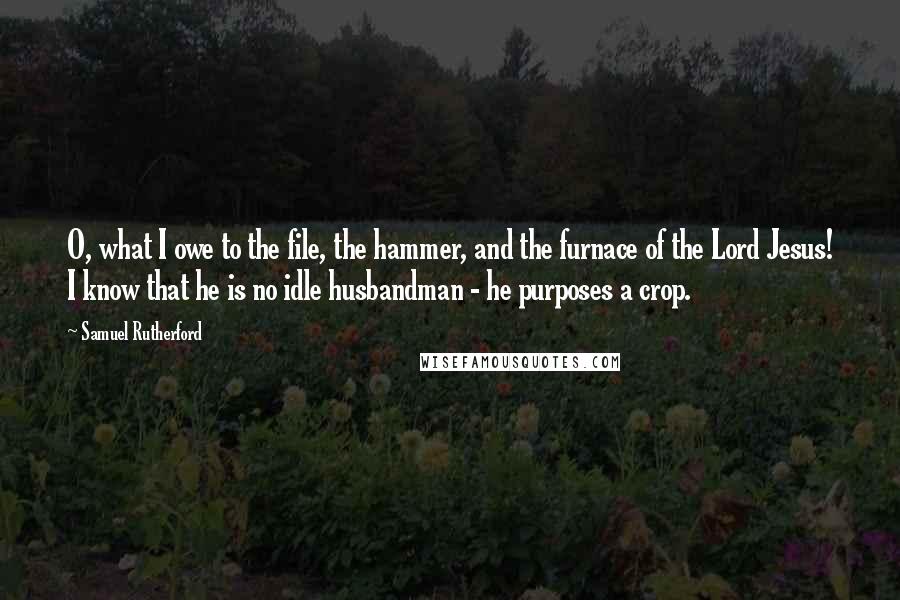 Samuel Rutherford Quotes: O, what I owe to the file, the hammer, and the furnace of the Lord Jesus! I know that he is no idle husbandman - he purposes a crop.