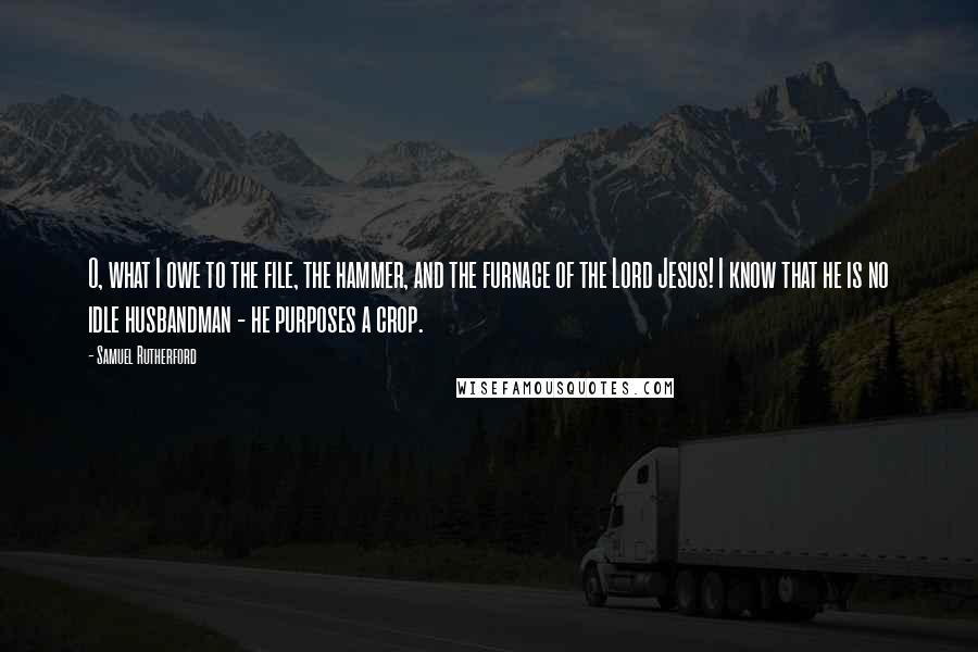 Samuel Rutherford Quotes: O, what I owe to the file, the hammer, and the furnace of the Lord Jesus! I know that he is no idle husbandman - he purposes a crop.