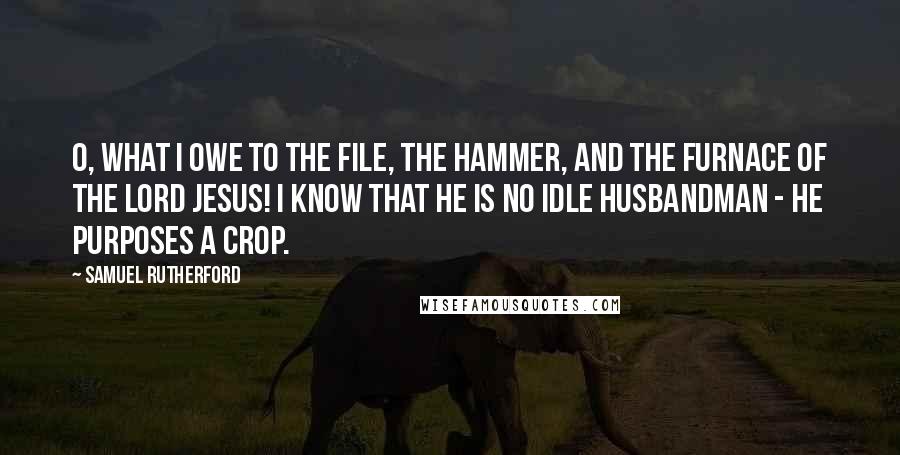 Samuel Rutherford Quotes: O, what I owe to the file, the hammer, and the furnace of the Lord Jesus! I know that he is no idle husbandman - he purposes a crop.