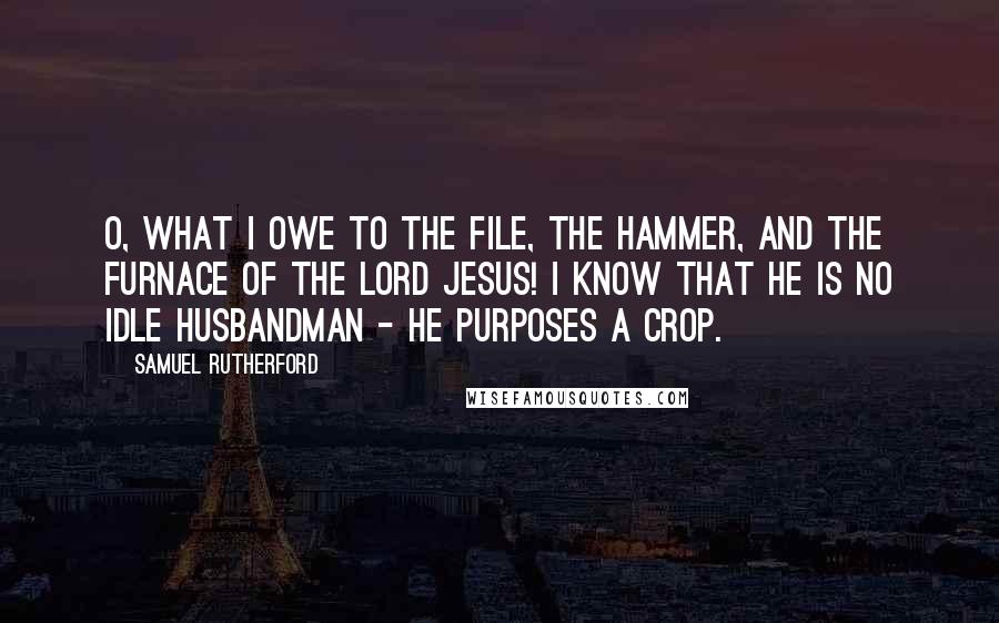 Samuel Rutherford Quotes: O, what I owe to the file, the hammer, and the furnace of the Lord Jesus! I know that he is no idle husbandman - he purposes a crop.