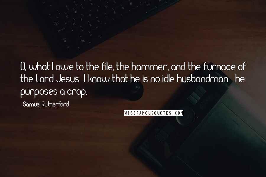 Samuel Rutherford Quotes: O, what I owe to the file, the hammer, and the furnace of the Lord Jesus! I know that he is no idle husbandman - he purposes a crop.